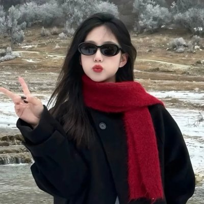 聪明的鸭子