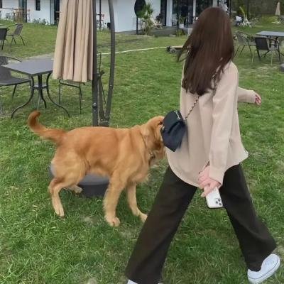 死亡真面目4